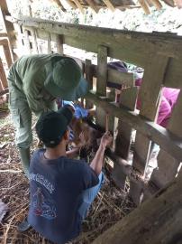 POSKESWAN DI PADUKUHAN TEMON